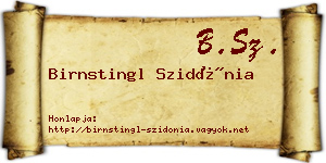 Birnstingl Szidónia névjegykártya
